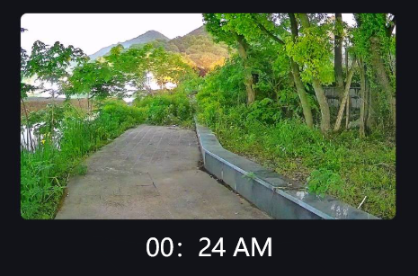 Voir dans le noir : un guide simple sur les caméras de sécurité à lumière noire de vision nocturne